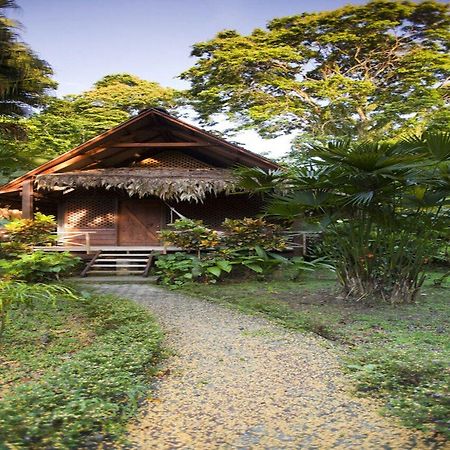 Azania Bungalows Puerto Viejo de Talamanca Luaran gambar