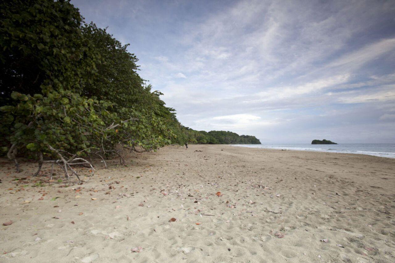 Azania Bungalows Puerto Viejo de Talamanca Luaran gambar