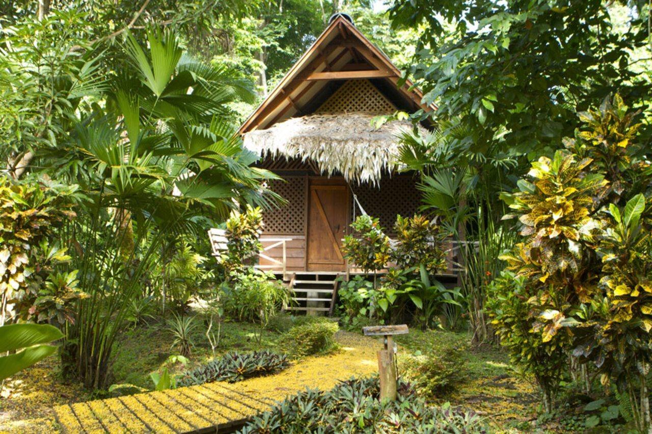 Azania Bungalows Puerto Viejo de Talamanca Luaran gambar