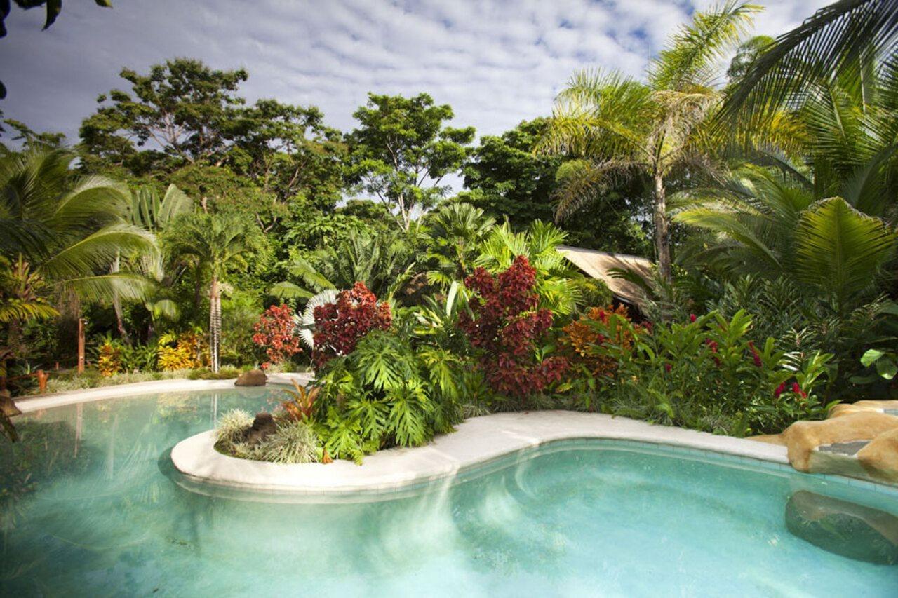 Azania Bungalows Puerto Viejo de Talamanca Luaran gambar