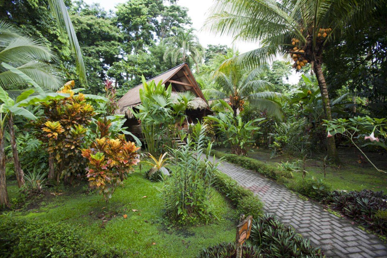 Azania Bungalows Puerto Viejo de Talamanca Luaran gambar