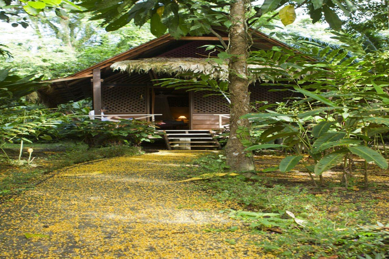 Azania Bungalows Puerto Viejo de Talamanca Luaran gambar