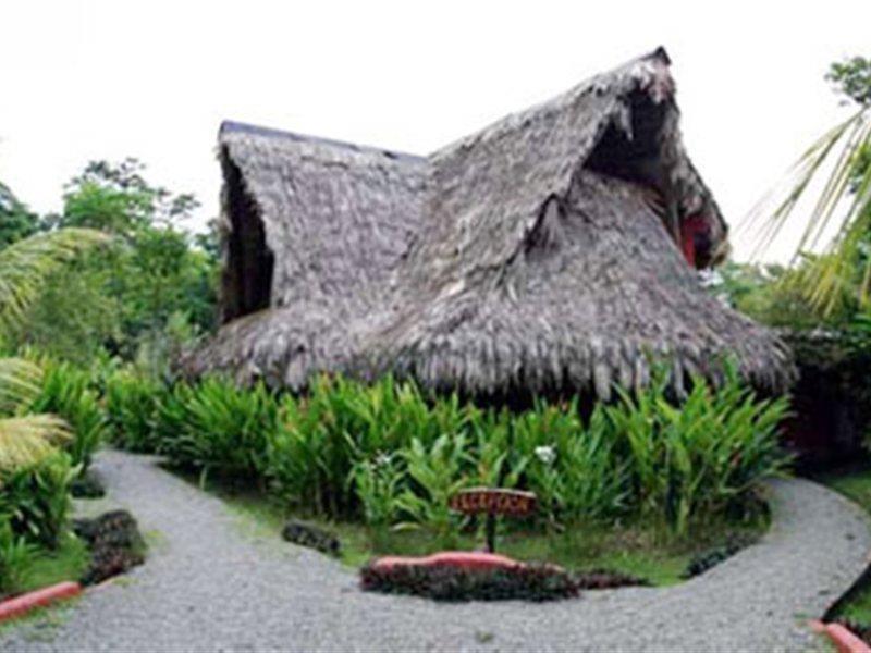 Azania Bungalows Puerto Viejo de Talamanca Luaran gambar